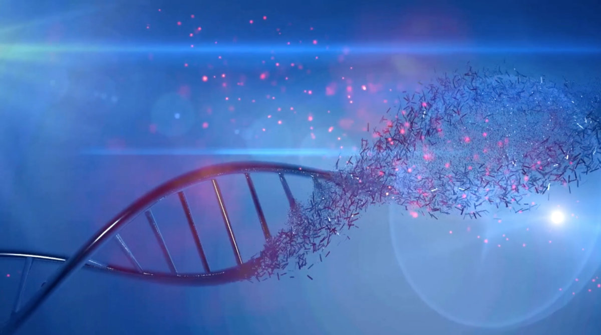 Laboratorio Varifarma Chile